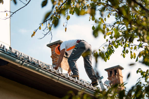 Best Roof Inspection Near Me  in Mcswain, CA