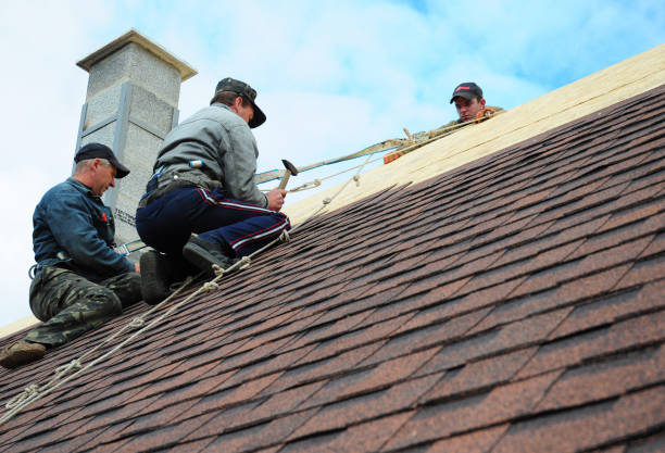 Best Shingle Roofing Installation  in Mcswain, CA